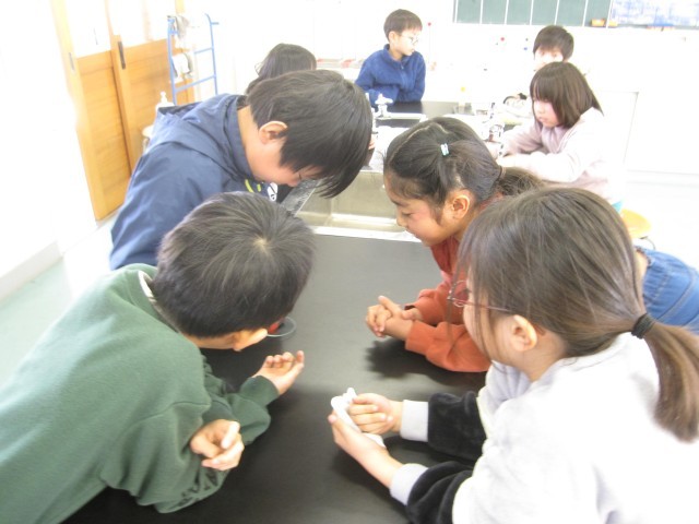 https://10209.schoolweb.ne.jp/1010008/blog_img/229198479?tm=20250206125820